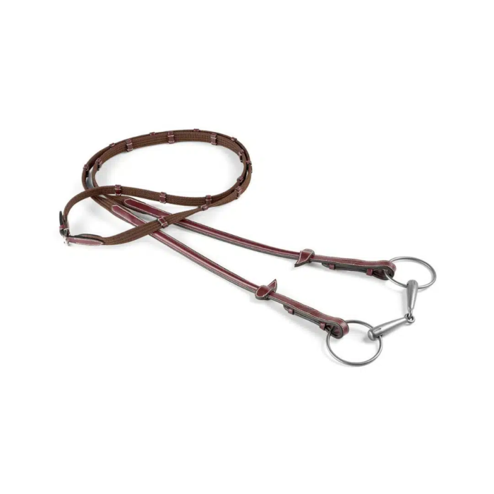 Equipe raised webbed reins – Progetto-senza-titolo-3