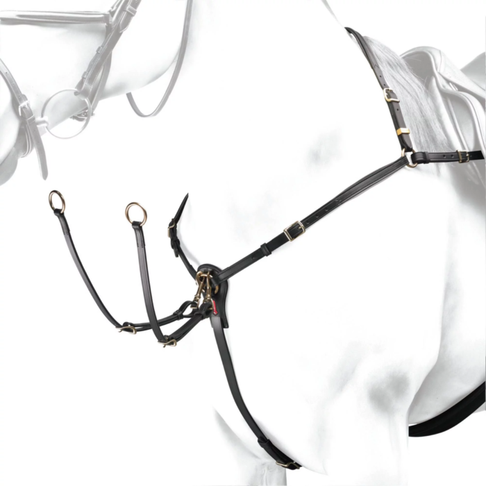 Equipe BP08 double regulation breastplate – bp08_1_jpg