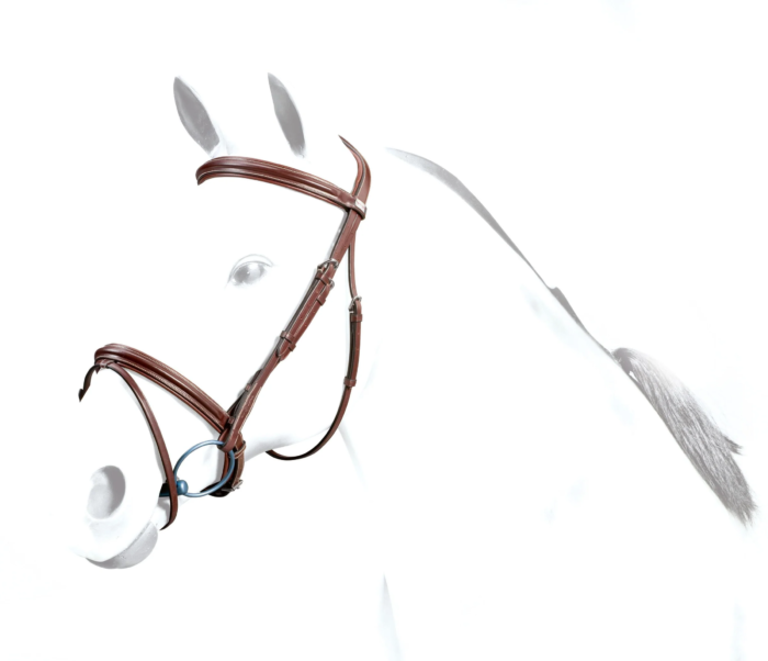 Equipe Flash Bridle BR35 – br35