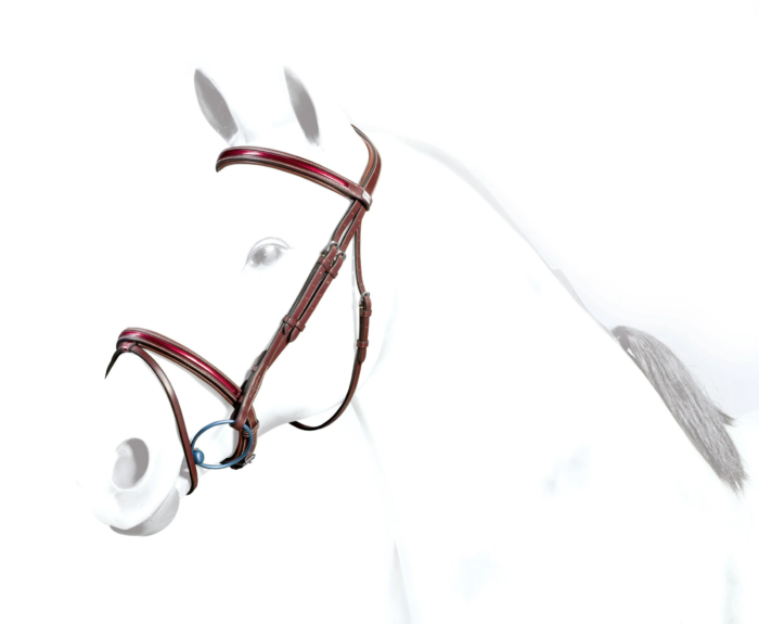 Equipe Patent Flash Bridle – br36