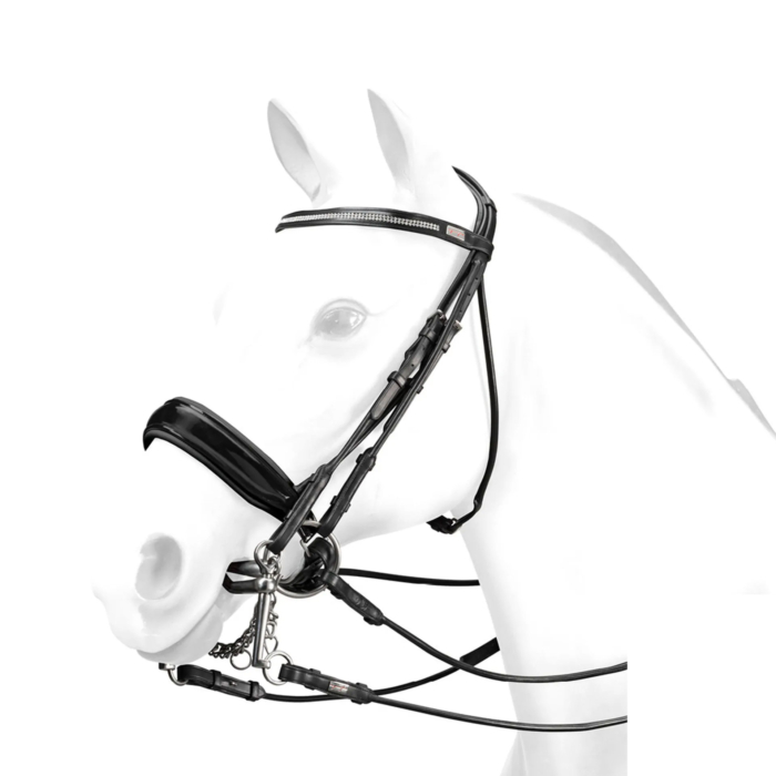 Equipe Swarovski crystal double bridle – br61