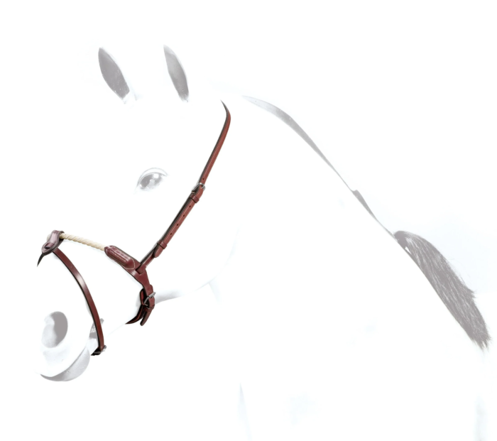 Equipe rope noseband with flash – 1513721772_2400x2129