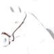 Equipe Lemmann Kineton style noseband – 1513722674_2400x2027