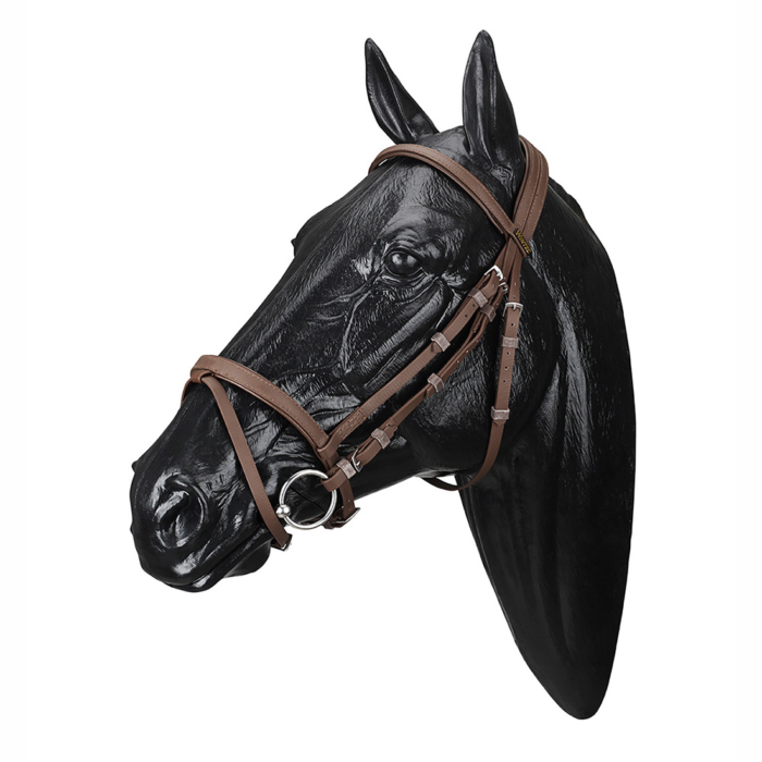Wintec Equi-Leather bridle